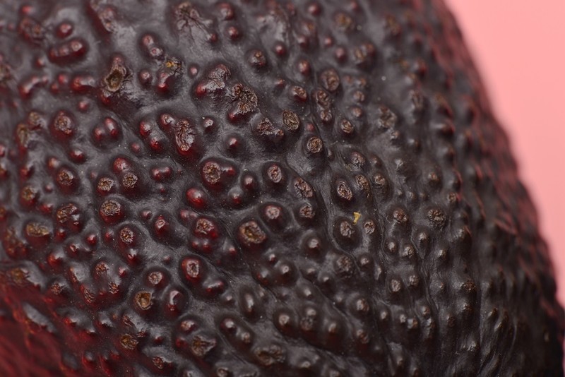 专治偏食的小孩，九阳料理机diy奶昔