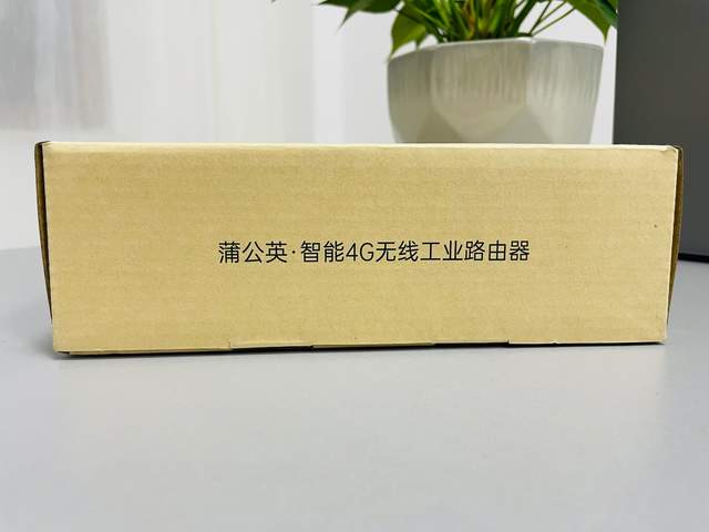 蒲公英R300A评测，200多的小物件解决现阶段遇到的网络问题
