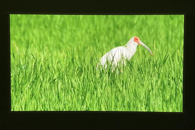 大墙何必浪费在小电视机身上——明基W1700M 4K家用投影仪 评测