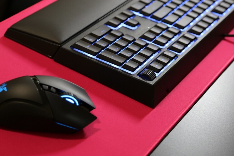 最佳轻机械键盘体验：雷蛇雨林狼蛛V2  Razer Ornata v2