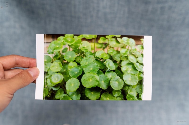 即刻打印美好瞬间，操作简单即开即用，汉印CP4000照片打印机体验