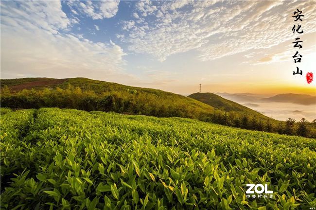 东北大哥滞留在云台山风景区：新春的那一丝感想