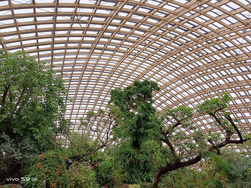 拿着vivo S9探秘植物园，看看自拍旗舰的后置影像实力如何