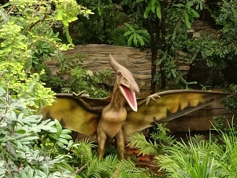 拿着vivo S9探秘植物园，看看自拍旗舰的后置影像实力如何