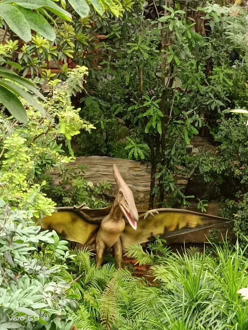 拿着vivo S9探秘植物园，看看自拍旗舰的后置影像实力如何