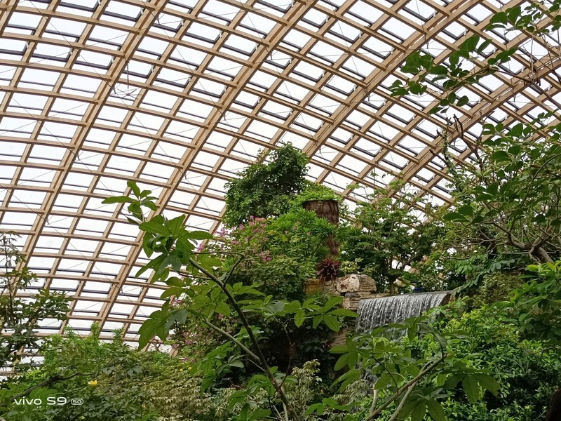 拿着vivo S9探秘植物园，看看自拍旗舰的后置影像实力如何