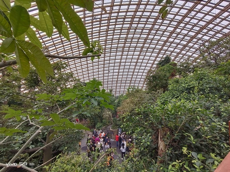 拿着vivo S9探秘植物园，看看自拍旗舰的后置影像实力如何