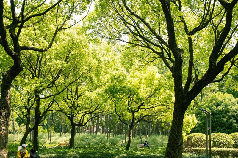 入手佳能微单一年，我添置了哪些值得买的配件好物