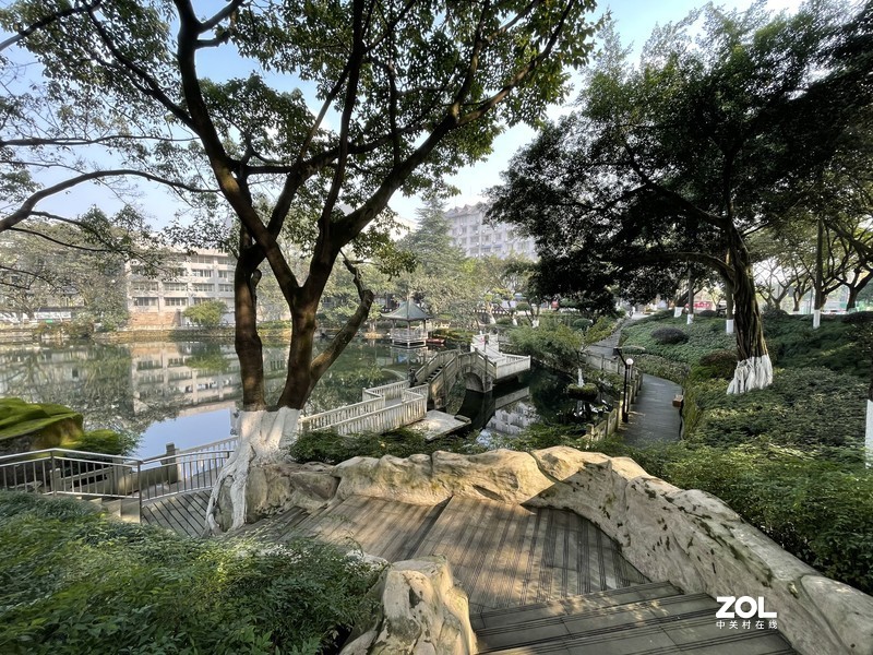 手机里留存的照片供大家欣赏