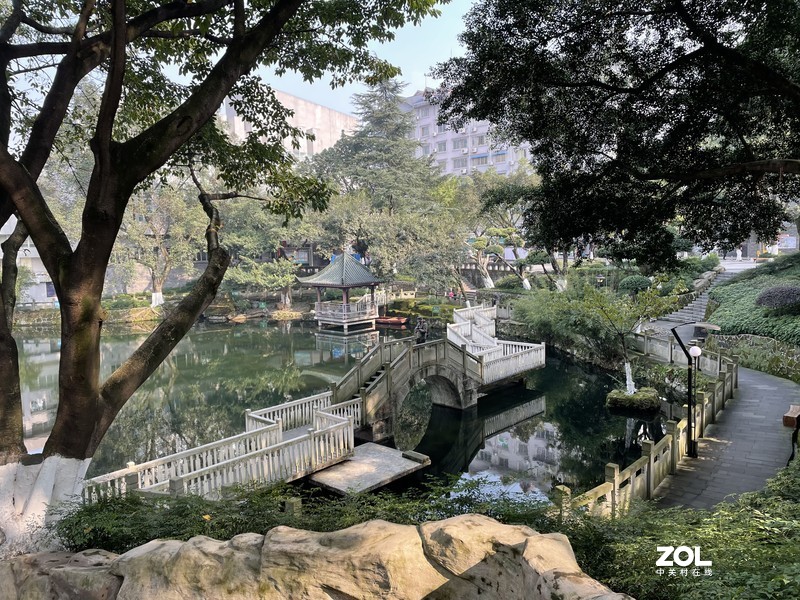 手机里留存的照片供大家欣赏