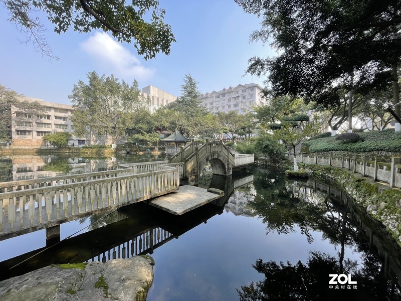 手机里留存的照片供大家欣赏