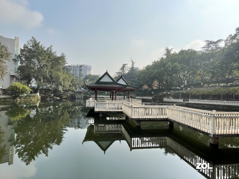 手机里留存的照片供大家欣赏