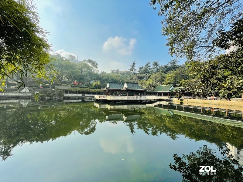 手机里留存的照片供大家欣赏