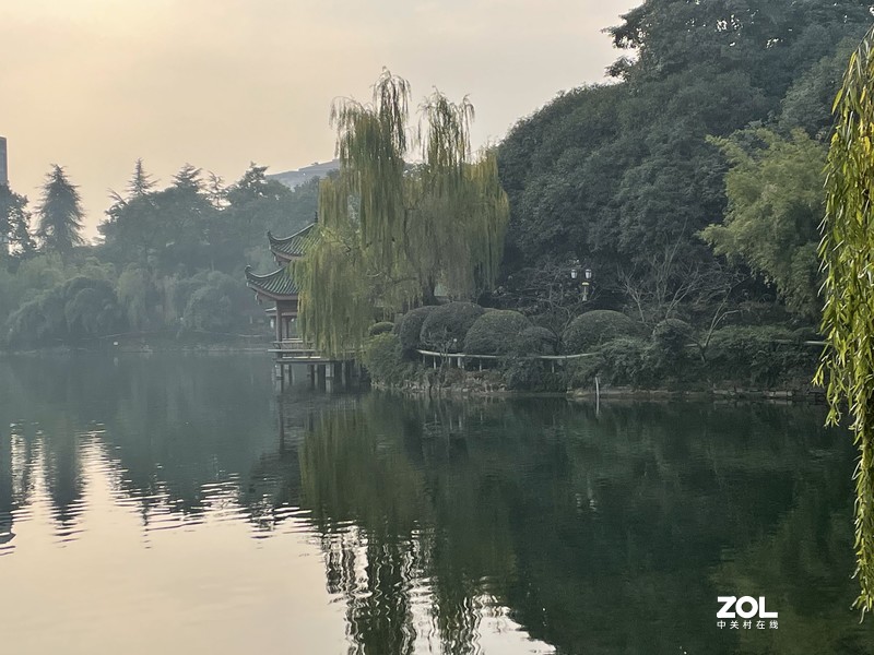 手机里留存的照片供大家欣赏