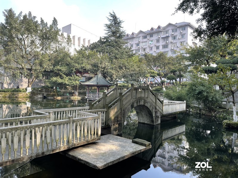 手机里留存的照片供大家欣赏