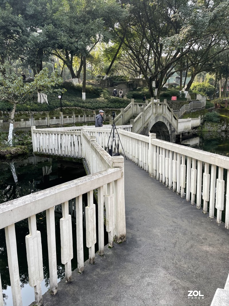 手机里留存的照片供大家欣赏