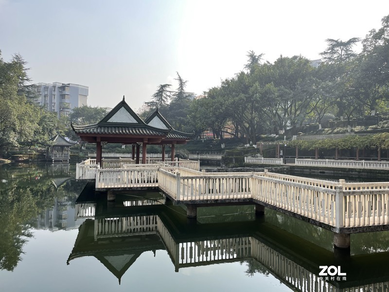 手机里留存的照片供大家欣赏