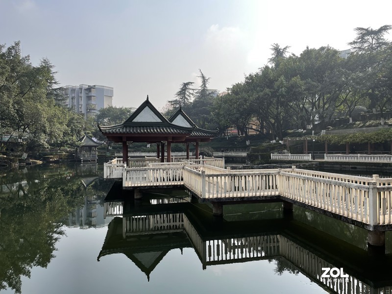 手机里留存的照片供大家欣赏