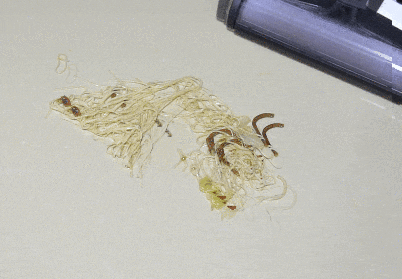 干湿垃圾都能清理，还能消毒！洗地机的好谁用谁知道