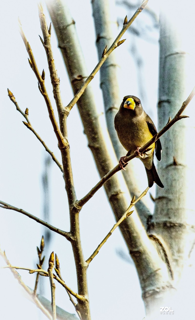 朋友试镜 打鸟拍月