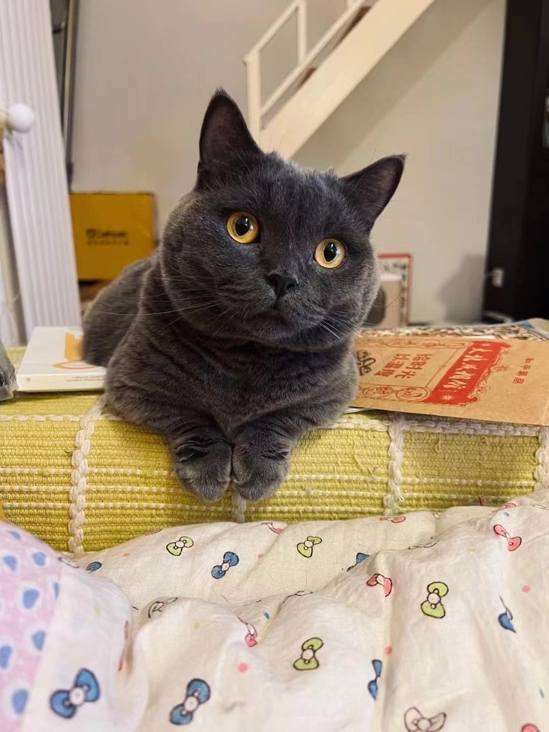 试用3个月下雨天房间潮湿阴冷的问题终于解决了，浦力适除湿机体验感受分享