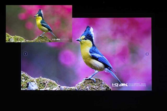 游戏追剧兼顾，4K画质高亮度低延迟，优派PX701-4K评测