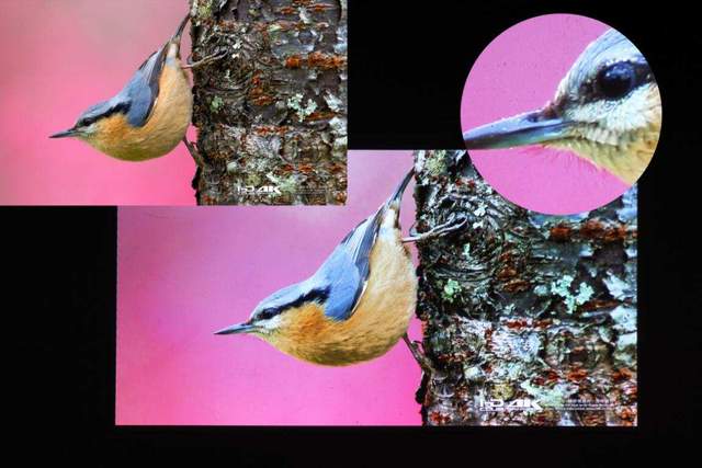 游戏追剧兼顾，4K画质高亮度低延迟，优派PX701-4K评测