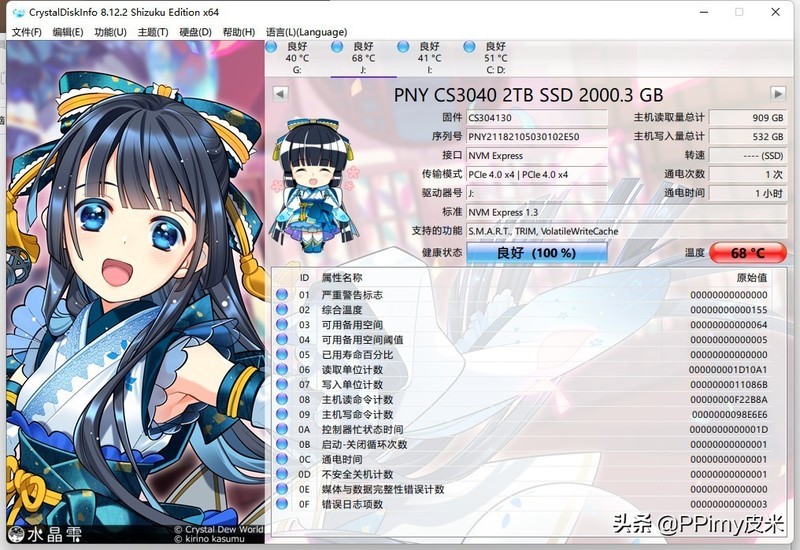 大碗量足的Gen4 SSD：PNY CS3040 2TB