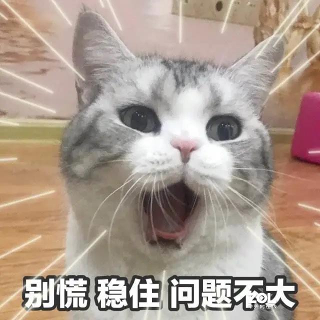 新房装修完了，还有机会装暖气片吗？