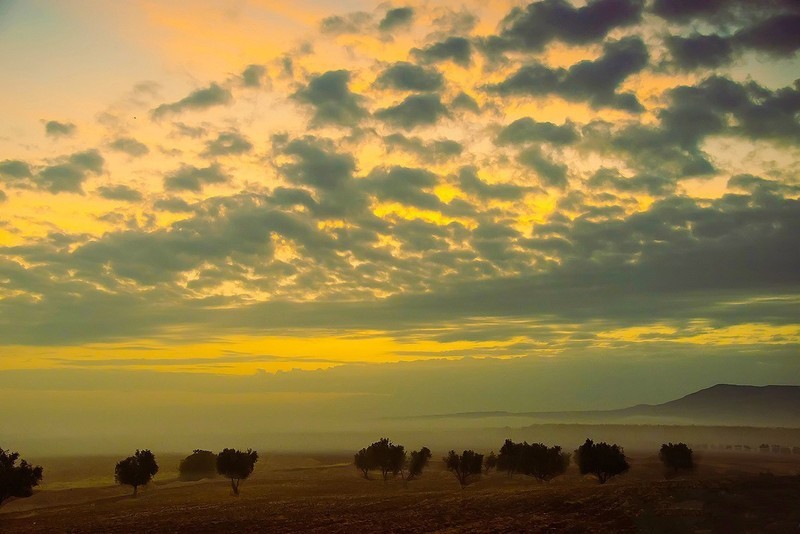 风景在路边第二集