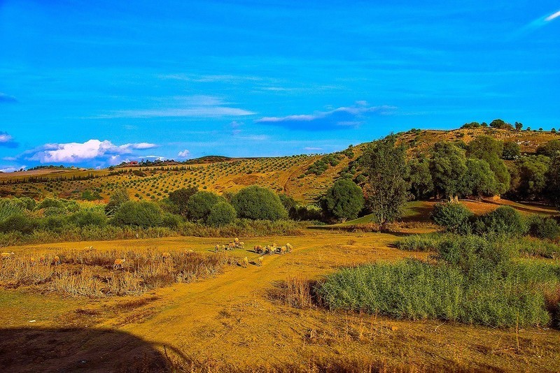 风景在路边第二集