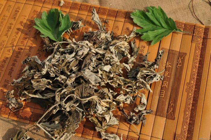 防蚊大测评：谁才是最安全有效的灭蚊神器？