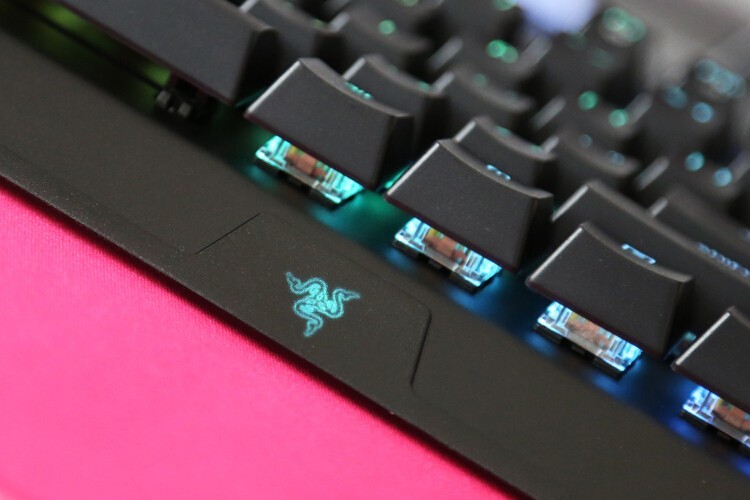 感受与众不同：雷蛇黑寡妇蜘蛛v3无线版机械键盘黄轴体验