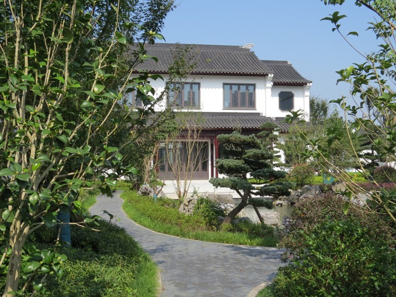 佳能SX50HS试机照（二）