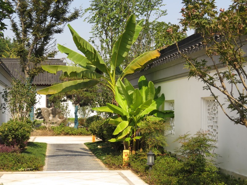 佳能SX50HS试机照（二）