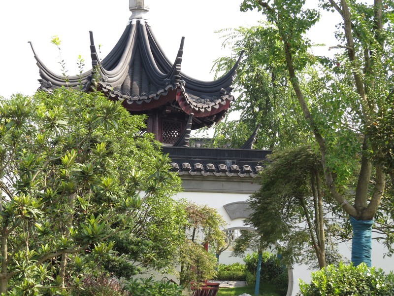 佳能SX50HS试机照（二）