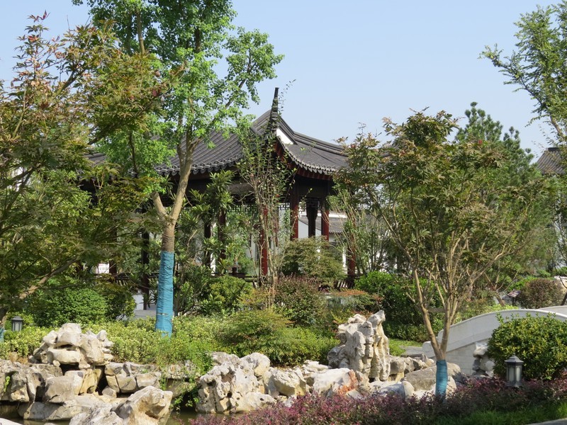 佳能SX50HS试机照（二）