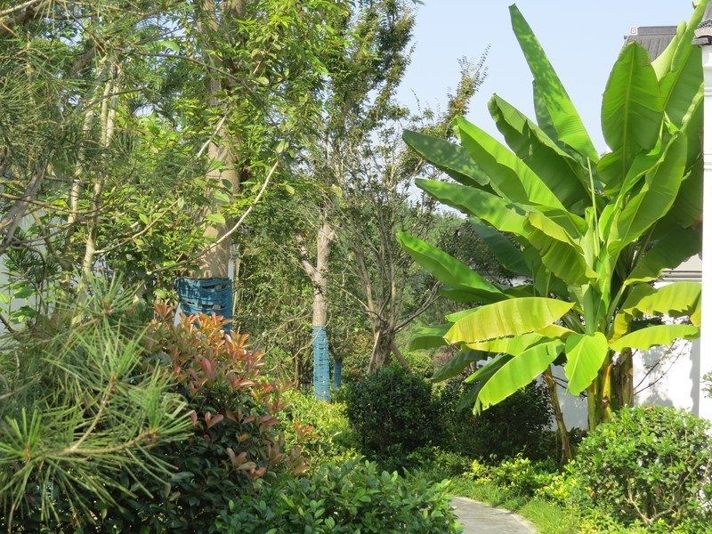 佳能SX50HS试机照（二）