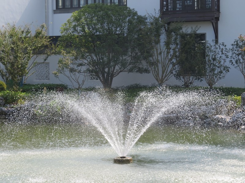 佳能SX50HS试机照（二）