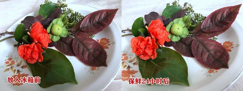 新飞冰箱新品评测：1999元的450升双变频风冷无霜对开门冰箱