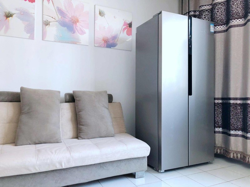 新飞冰箱新品评测：1999元的450升双变频风冷无霜对开门冰箱