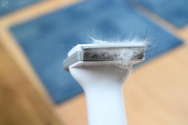 轻松搞定宠物掉毛问题，用毛妈妈宠物多功能理毛器，帮猫狗理出美造型