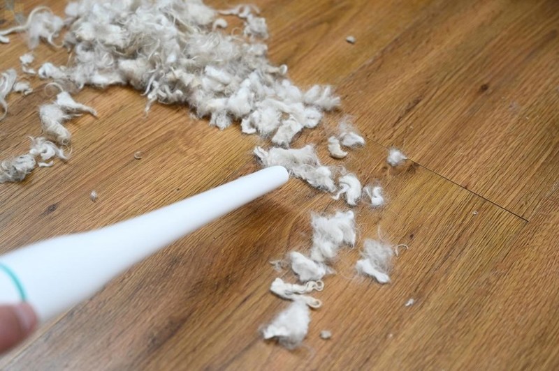 轻松搞定宠物掉毛问题，用毛妈妈宠物多功能理毛器，帮猫狗理出美造型