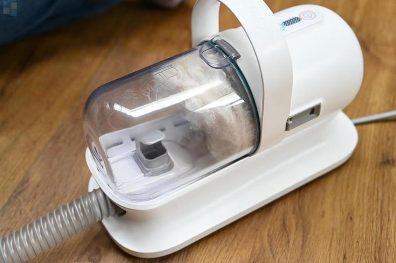 轻松搞定宠物掉毛问题，用毛妈妈宠物多功能理毛器，帮猫狗理出美造型