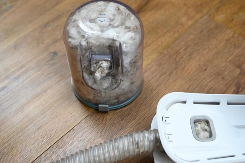 轻松搞定宠物掉毛问题，用毛妈妈宠物多功能理毛器，帮猫狗理出美造型