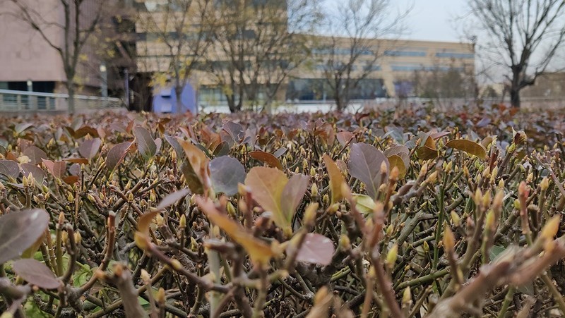 大屏时代的轻巧旗舰丨OnePlus 8T深度体验报告