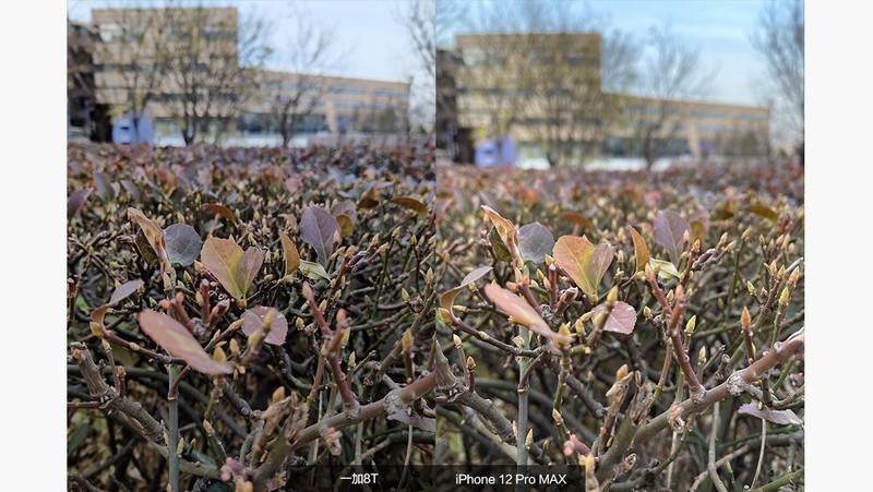 大屏时代的轻巧旗舰丨OnePlus 8T深度体验报告