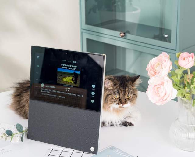 天猫精灵V10：距离不再是问题，陪伴无时无刻