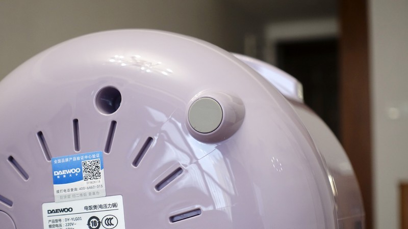 大宇电压力锅体验，一锅两用，煲饭炖肉样样不能少