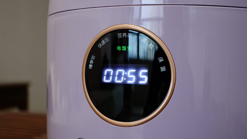 大宇电压力锅体验，一锅两用，煲饭炖肉样样不能少